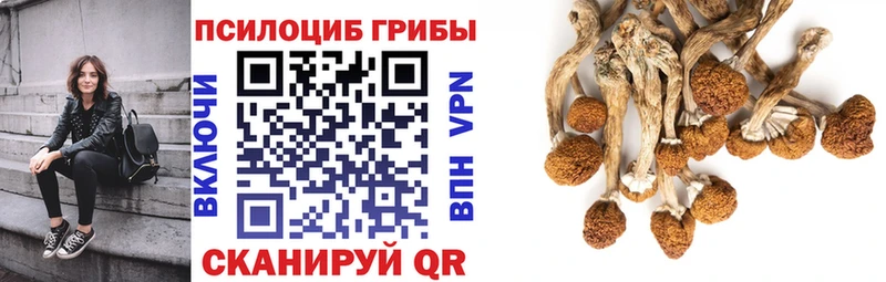 мега маркетплейс цены наркотик Отрадное Псилоцибиновые грибы мухоморы